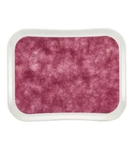 Plateau polyester rouge 45,7x35,5 cm Versatray Century Fun Cambro