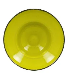 Assiette extra creuse rond vert porcelaine vitrifiée Ø 26,1 cm Fire Rak