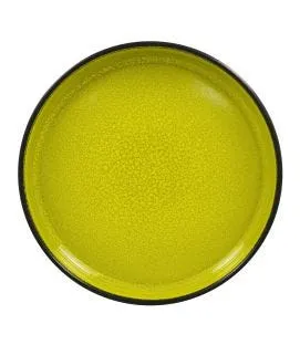 Assiette creuse rond vert porcelaine vitrifiée Ø 19,9 cm Fire Rak