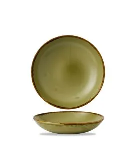 Assiette coupe creuse rond vert porcelaine vitrifiée Ø 18,2 cm Harvest Dudson