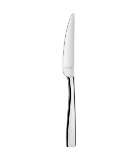 Couteau à dessert monobloc cranté 19,6 cm Odyssee Pro.mundi