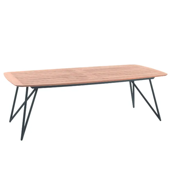 Table de jardin Talinn 250x110cm acier galvanisé - bois teck/noir