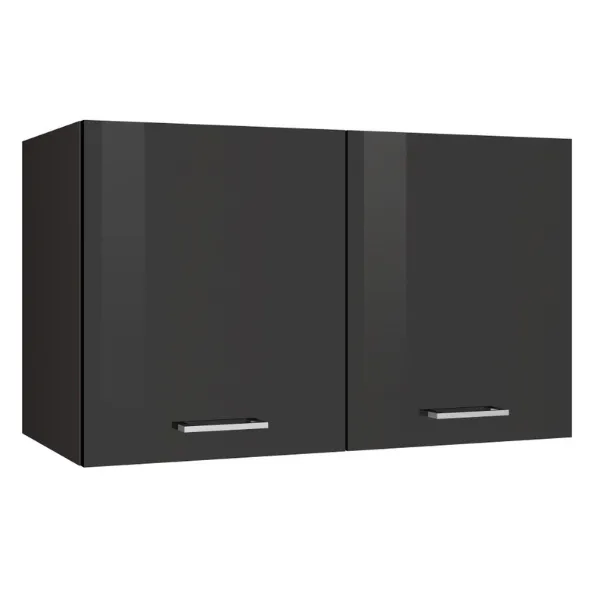 Armoire suspendue Ragnar 100cm avec 2 portes - anthracite brillant