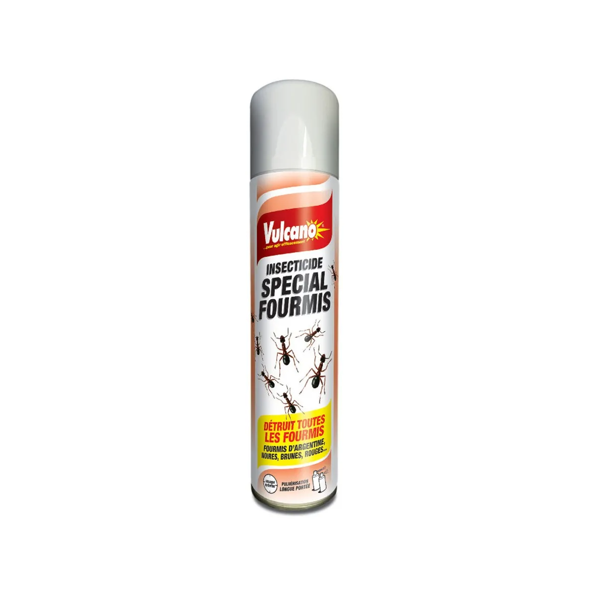 Aerosol anti fourmis