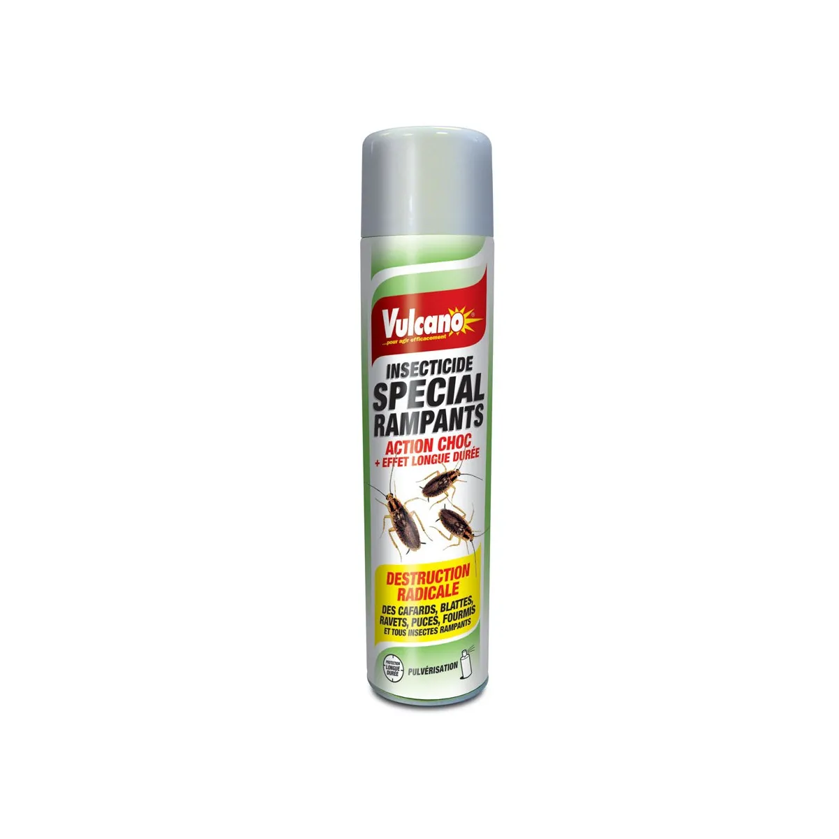Aerosol special insectes rampants