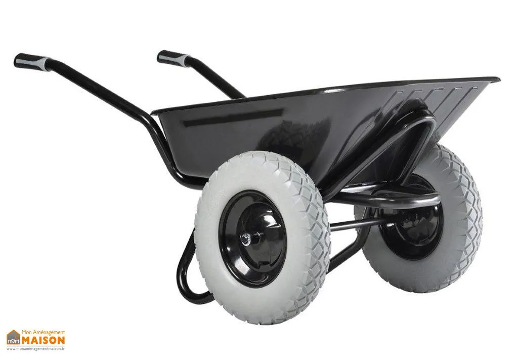 Brouette Haemmerlin Aktiv Excellium 100 Twin Peinte Roues Increvables