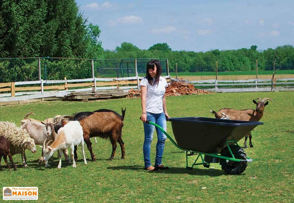 Brouette avec Moteur Electrique 12V Charge Lourde (plusieurs dimensions)