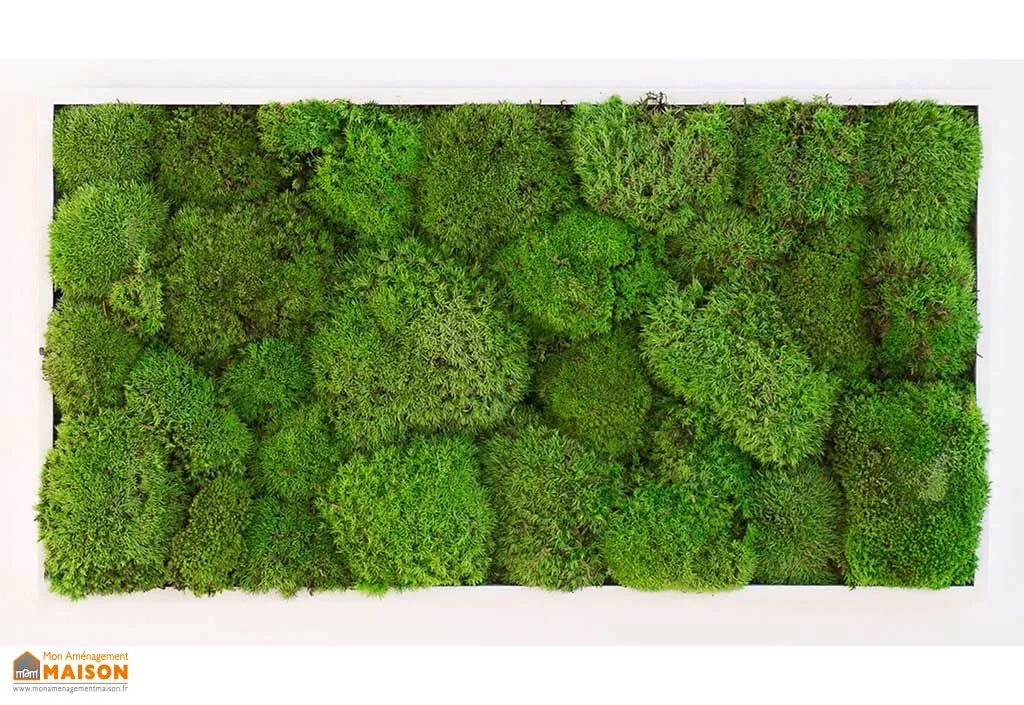 Cadre Végétal Rectangulaire Mousse Boule Kokoon (Pls Dimensions)