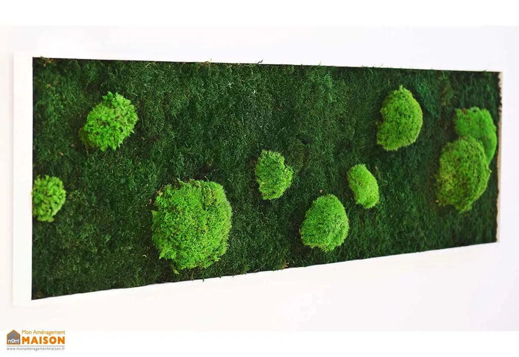 Cadre végétal rectangulaire mousses Island (pls dimensions)