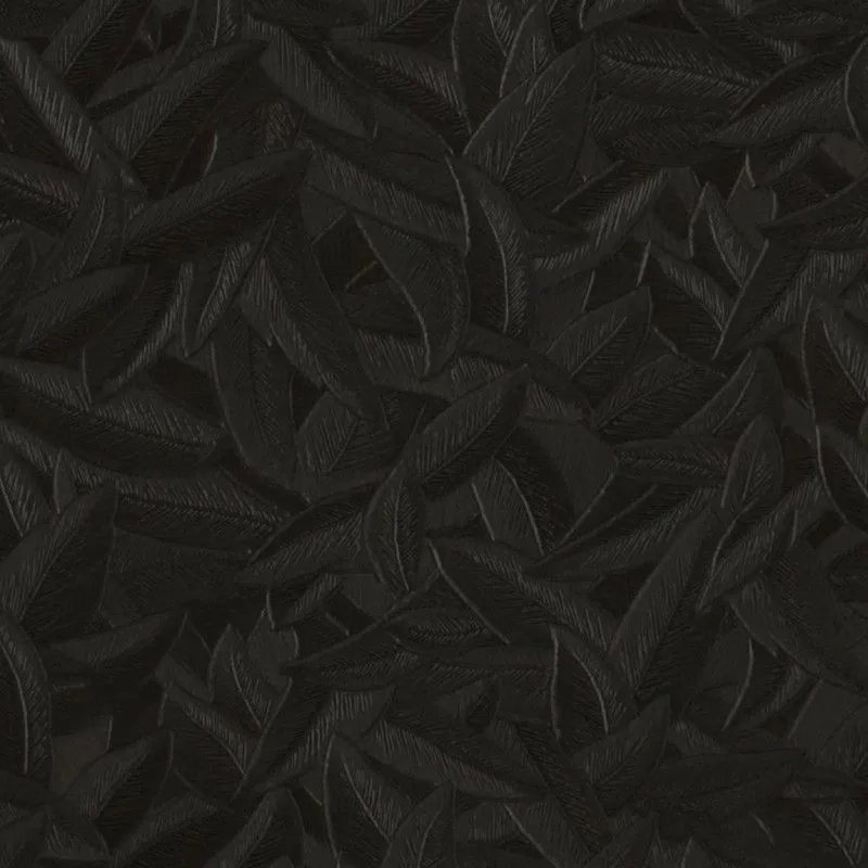 CARLOMAGNO 2-Papier peint plumes noires, 1005x70 cm