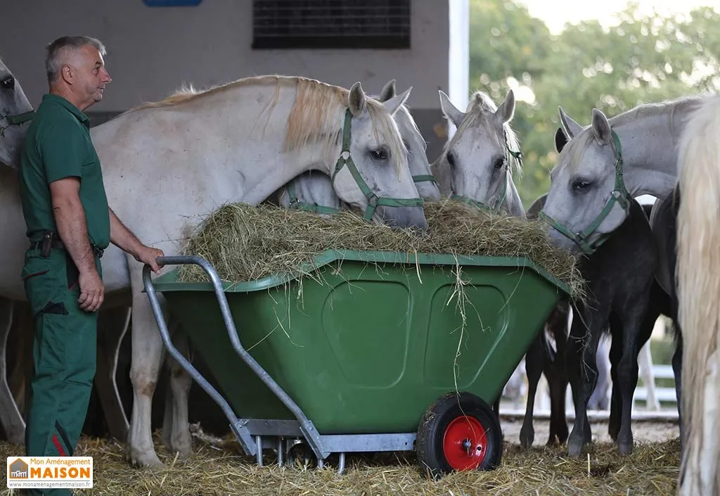 Chariot Gros Volumes 2 Roues (250 L à 500 L)