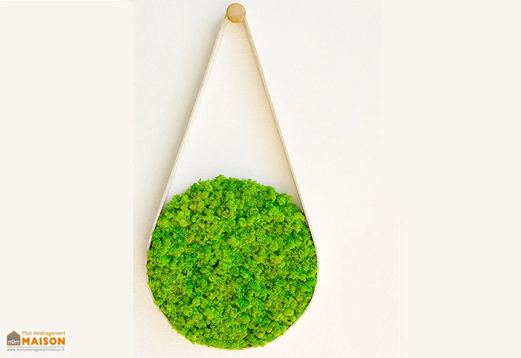 Décoration murale suspendue en lichen – Belt