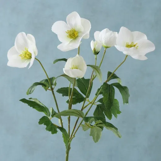 Fil fleur artificielle Helleborus Blanc / Vert, H38 cm