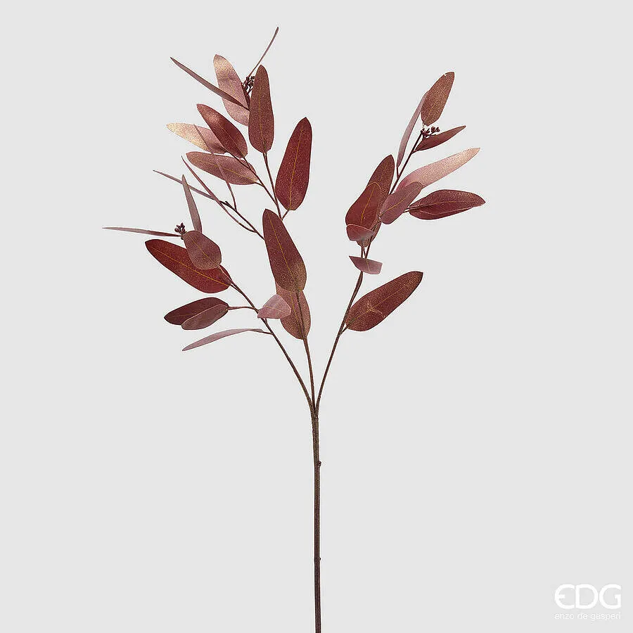 EDG Enzo De Gasperi Eucalyptus Branch H 82 Cm Brown
