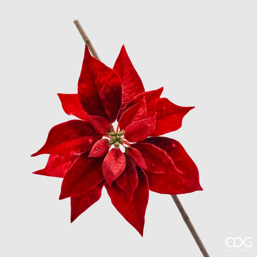 EDG Enzo De Gasperi Christmas Star Head with Clip D 23 Cm Red 1 Pc