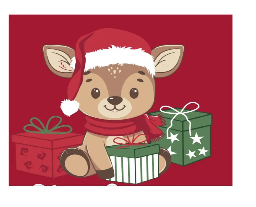 Precious Home Coral Christmas Blanket Printed 160 x 210 Cm Ass. with G