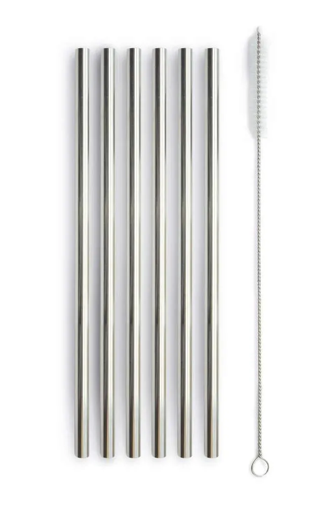 WD LifeStyle Set of 6 Stainless Steel Straws H 21 cm with Brush Silver