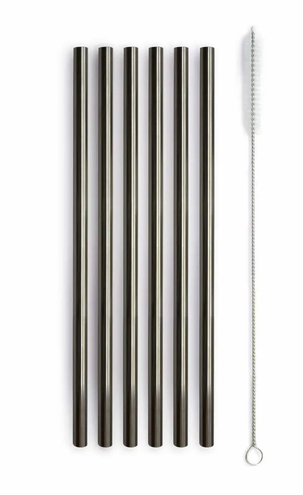 WD LifeStyle Set of 6 Stainless Steel Straws H 21 cm with Brush Black