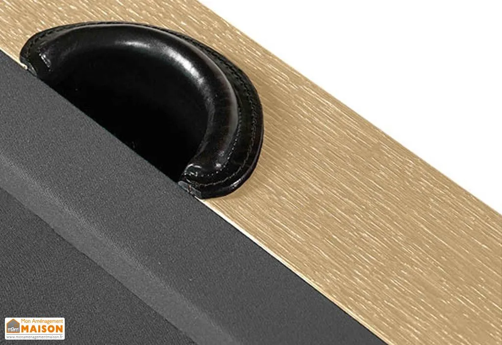 Kit transformation en billard français René Pierre