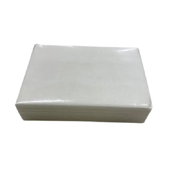 Lavette ajourée ou lavette cuisine HACCP blanc 35 x 50 cm