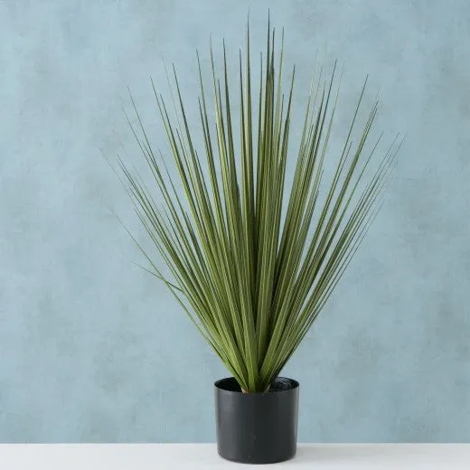 Plante artificielle en pot Harisia Verde, H78 cm