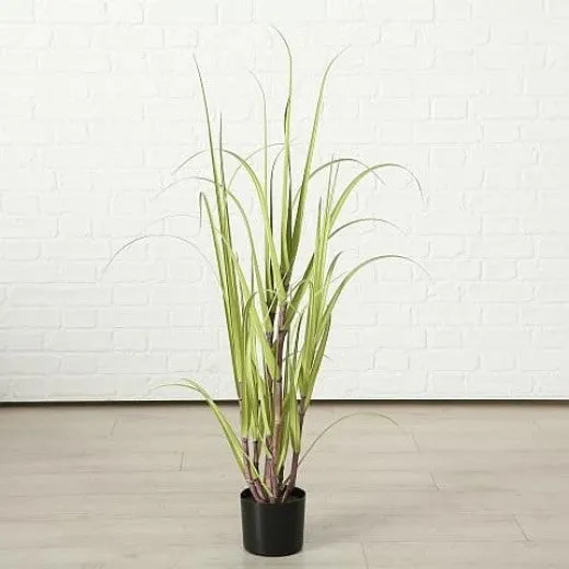 Plante artificielle en pot Jule Canne à Sucre Vert, H180 cm