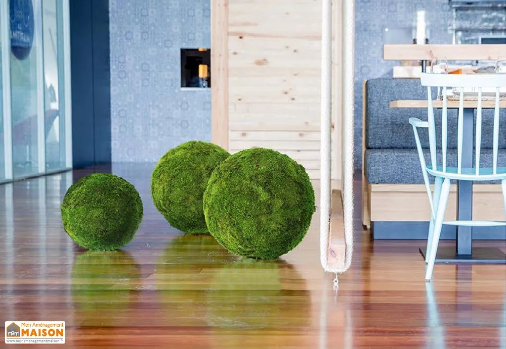 Plante Stabilisée Sphère Mousse (Pls Tailles)