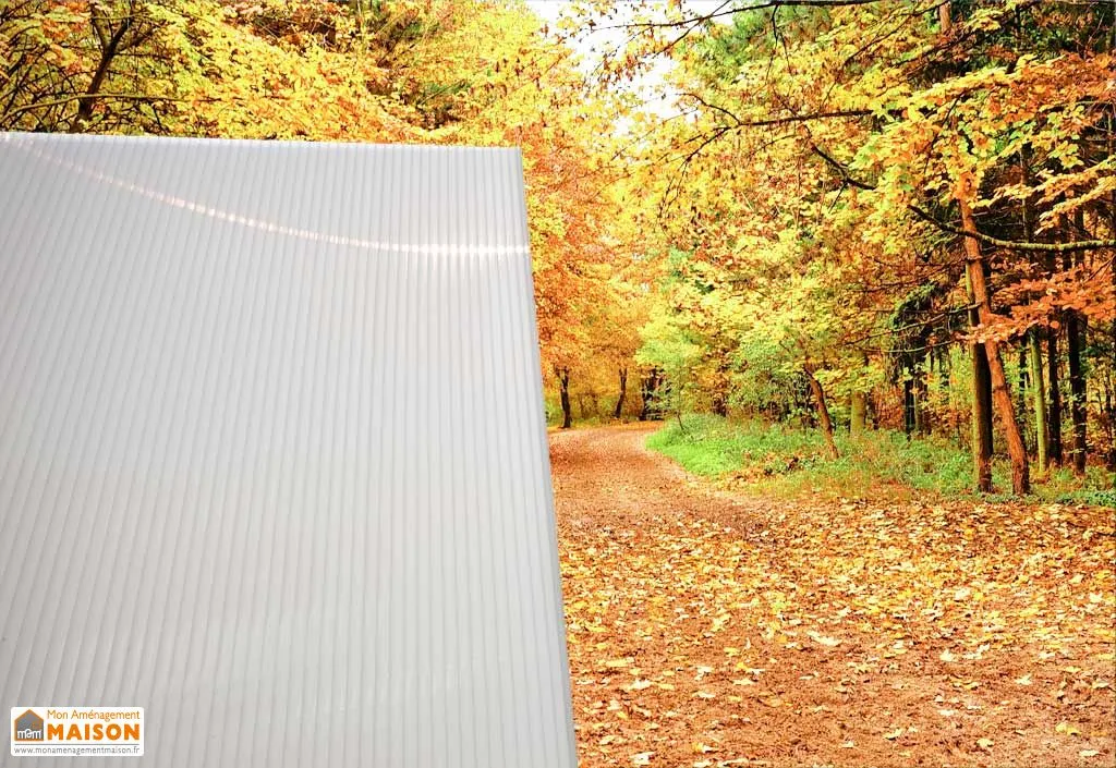 Plaque polycarbonate alvéolaire transparent et opaque 16 mm - 0,98 x 2,5 m