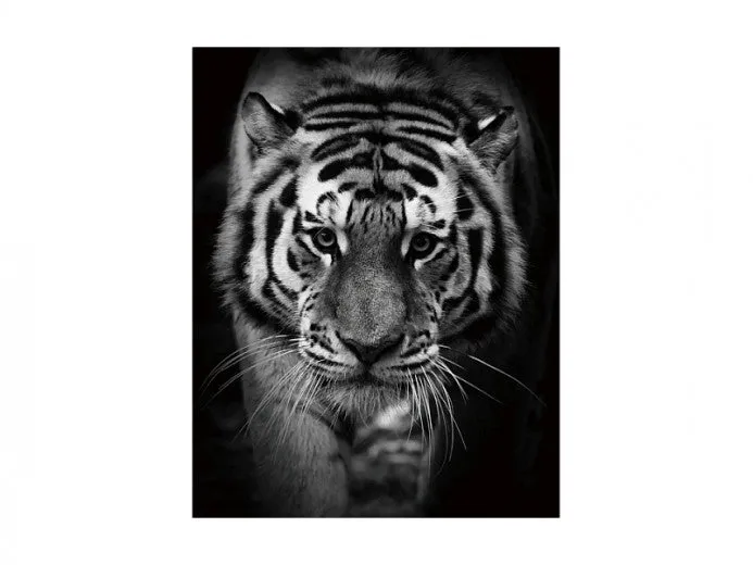 Peinture sur Verre Tiger, 80 x 120 cm