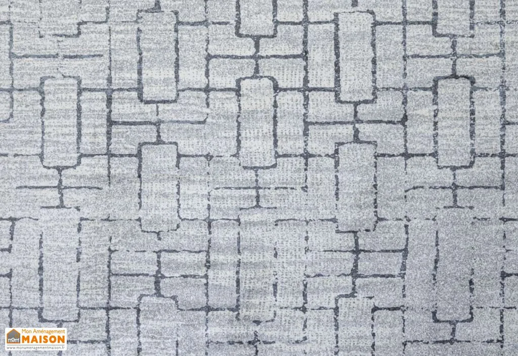 Tapis de salon rectangulaire en viscose - Zarco